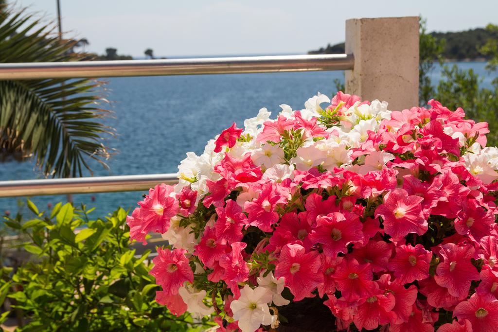 Apartments Villa Julija Mali Lošinj Oda fotoğraf
